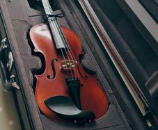 1/2 size Eastman Westbury violin outfit