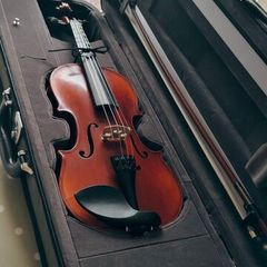 1/2 size Eastman Westbury violin outfit
