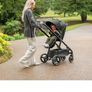 buggy Image 2