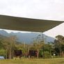 FREE EXPRESS SHIPPING Hammock Rain Fly Camping Tent Tarp Backpacking Tarp PU3000 MM 3X4 M 10X12 Ft Durable Ripstop 420D Oxford for RV Car Truck Side Shade Image 6