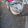 honda izy lawnmower Image 3