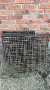 fencing for dog run or similar