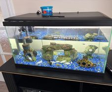 60 litre fish tank