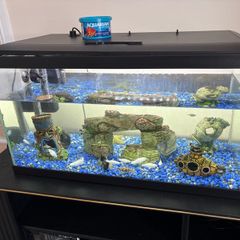 60 litre fish tank
