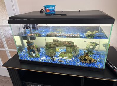 60 litre fish tank