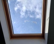 velux windows