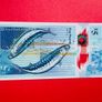 Royal Bank Of Scotland   5 Pounds   2016. POLYMER PLASTIC  PICK 370  ( Uncirculated ) Image 2