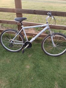 Raleigh Mountain bike