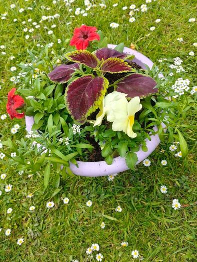 flower pots