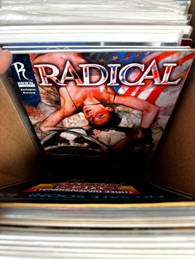 Indie Long Comic Box w 250 Comics for Sale