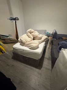 Free Bed Frame