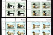 2004 Ireland Fauna &amp; Flora Native Ducks Commemorative Stamp Plate Block 1A1A1A1A1A Mint Never Hinged (MNH)