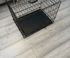 dog cage