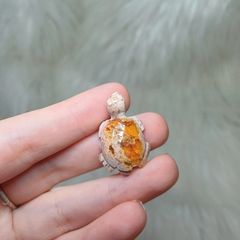 turtle carving mexican fire opal material