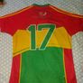 Carlow Gaa Jersey Image 2