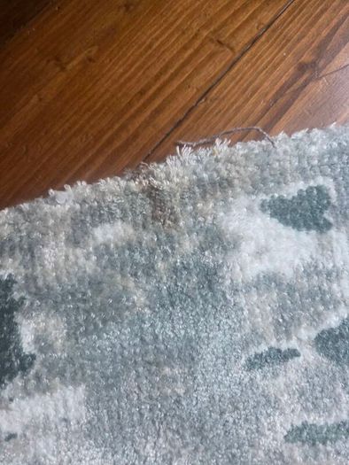 Rug, Green Silver Circular rug