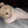 Slumber bear Image 2