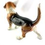 Vintage Giovanni Ronzan Beagle Figurine Image 7