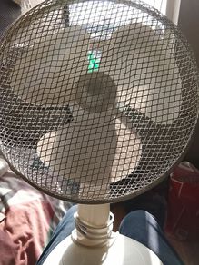 Fan