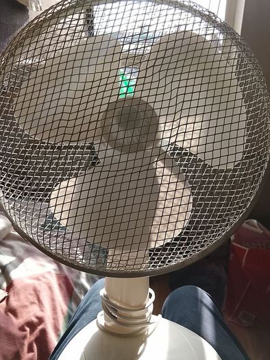 Fan