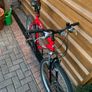Reflex Reaction MTB Image 5