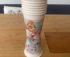paw patrol party
