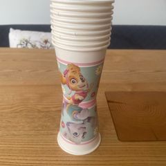 paw patrol party