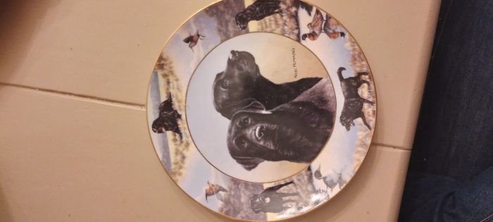 Labrador Wall plate
