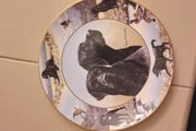 Labrador Wall plate