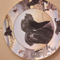 Labrador Wall plate