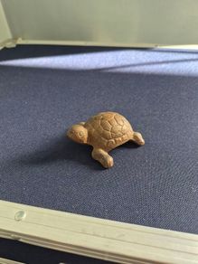 Cast Iron Brown Turtle Home Decor