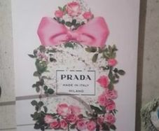 2 picture canvas 10 euro for both