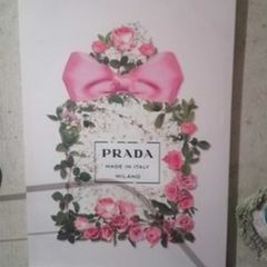 2 picture canvas 10 euro for both