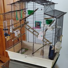 Bird Cage