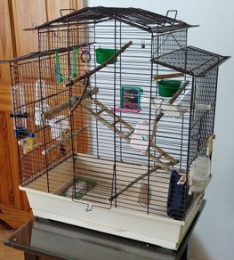 Bird Cage