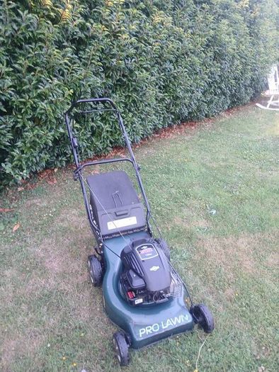 Prolawn Push Lawnmower