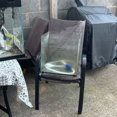 fish tank
