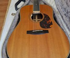 Furch Vintage 2D Sr (wth LR Baggs Anthem)