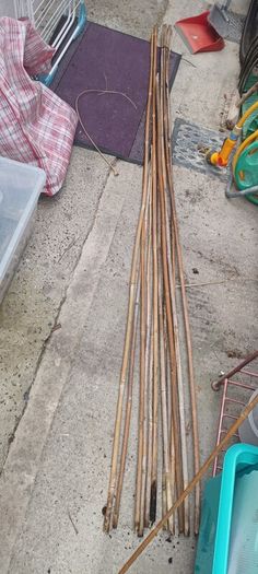 Bamboo poles