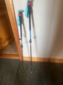Nordic walking poles