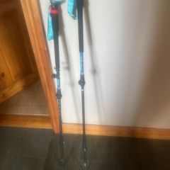 Nordic walking poles