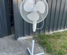 fan in Mint condition