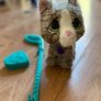Toy cat Image 3