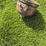 Antique tilley lamp and brass pot Image 6