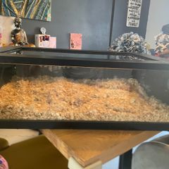 Reptile Enclosure