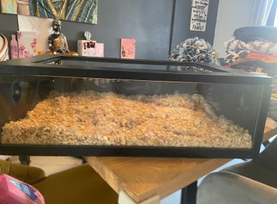 Reptile Enclosure