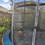 Trampoline 10FT Image 3