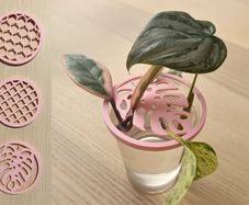 3 Plant Propagation Lids Custom Size Colour New