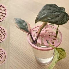 3 Plant Propagation Lids Custom Size Colour New