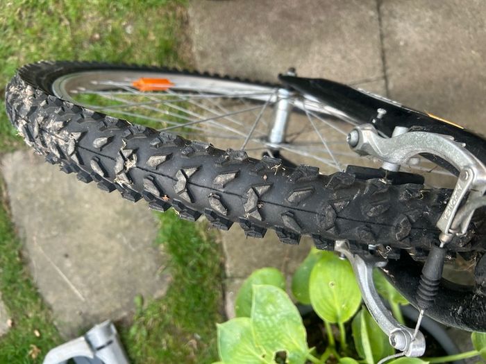 Adult Mountain bike